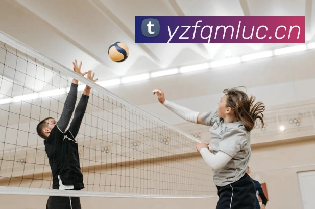 米兰在线登录入口网址平台生态图